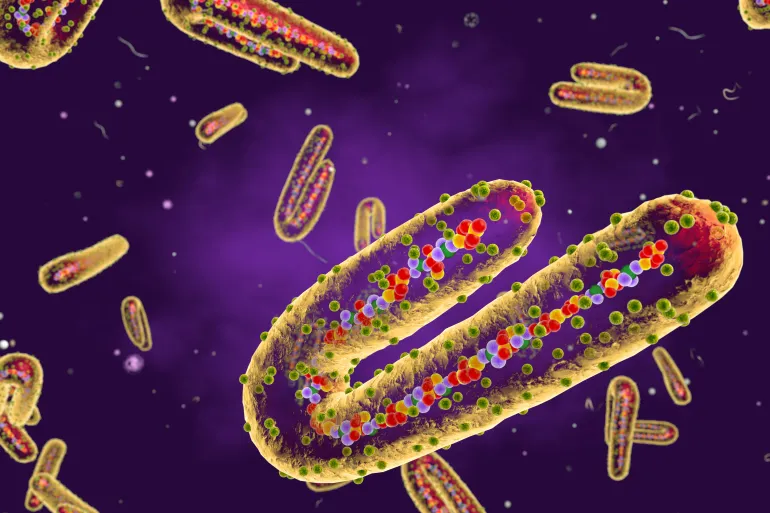 Marburg Virus Outbreak in Ethiopia Reaches Epidemic Level